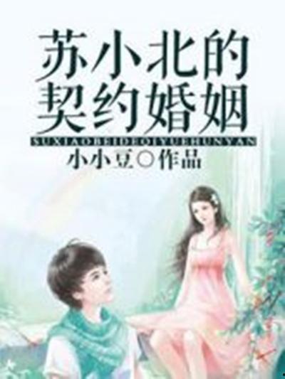 贴身女侍卫的契约婚姻,女侍卫的忠诚与爱情之旅