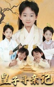 皇子寻亲记（开局被拐走,皇后竟是我亲娘)(陛下,皇后又带崽搬敌人宝库去了）,拐走与重逢，皇后竟是失散亲娘