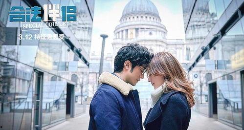 合法伴侣,合法伴侣的甜蜜人生旅程